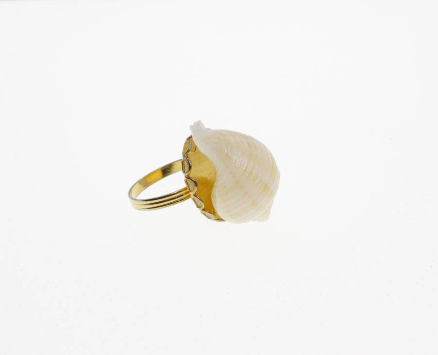 Ring - Gold Tone Expandable band with a Sea Shell - ML2676