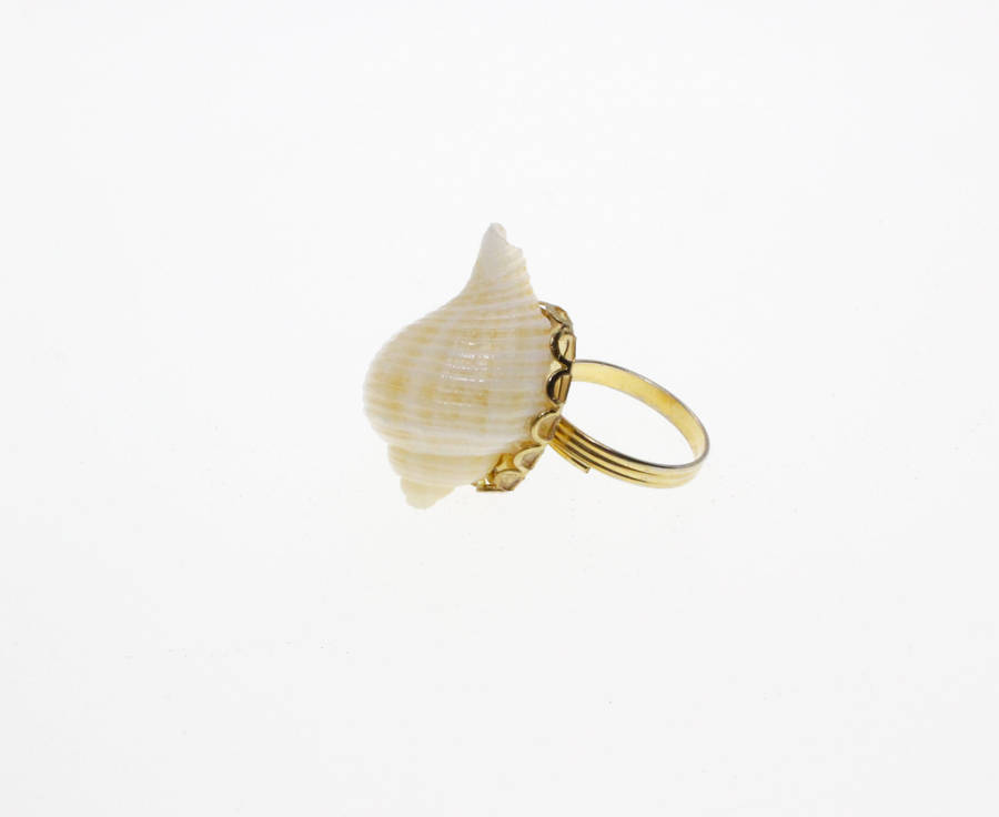 Ring - Gold Tone Expandable band with a Sea Shell - ML2676
