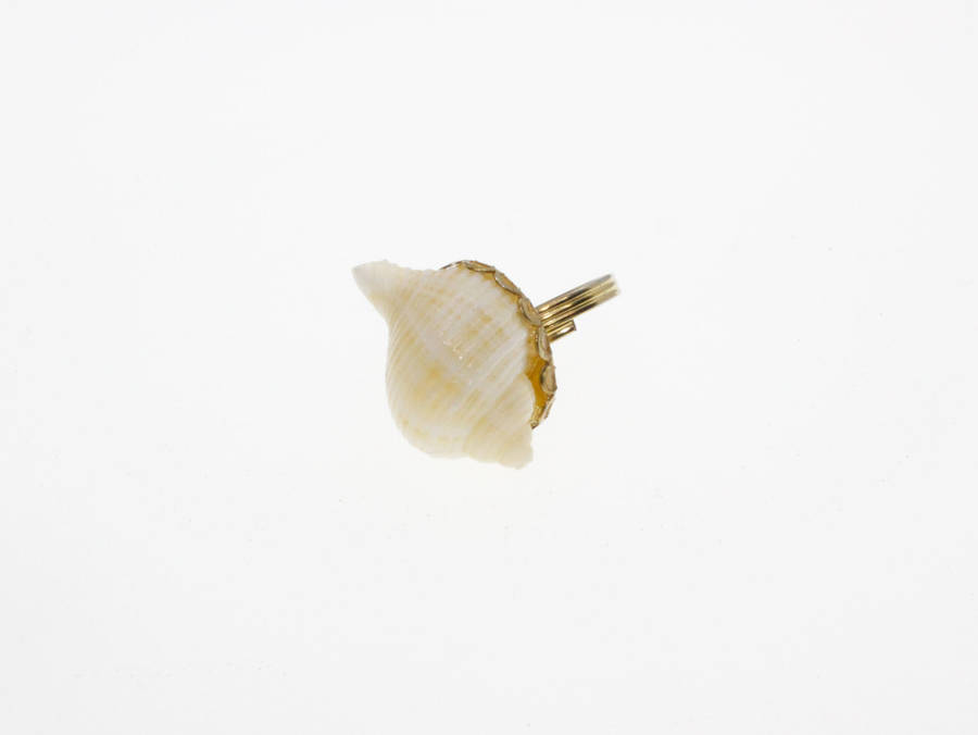 Ring - Gold Tone Expandable band with a Sea Shell - ML2676