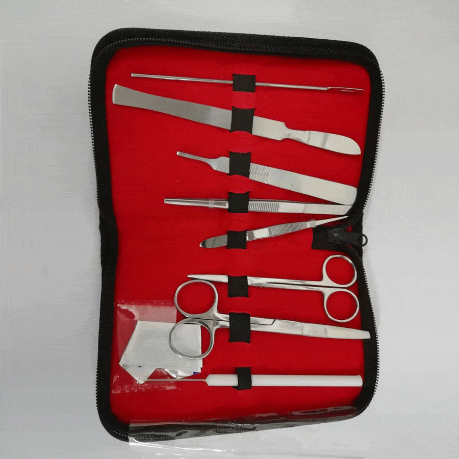 Dissecting Kit
