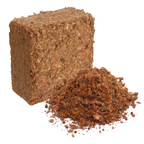 Coco Coir