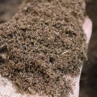 Sphagnum Peat Moss