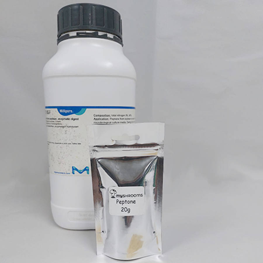 Peptone Enzymatic from Soybean