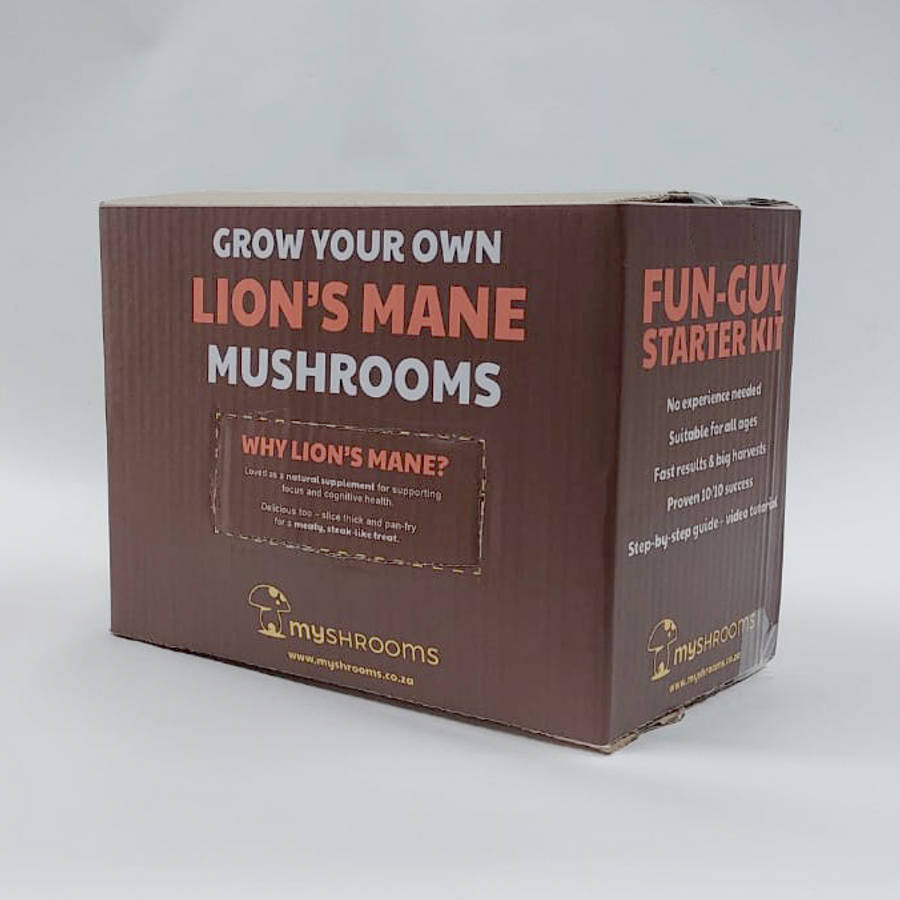 Lion's Mane Grow Box
