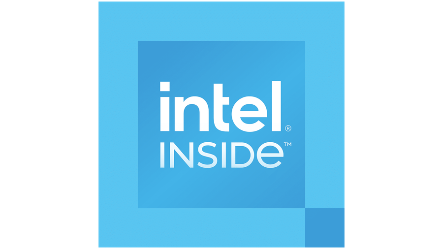 Intel 300 6M Cache, up to 3.90 GHz LGA1700 Processor