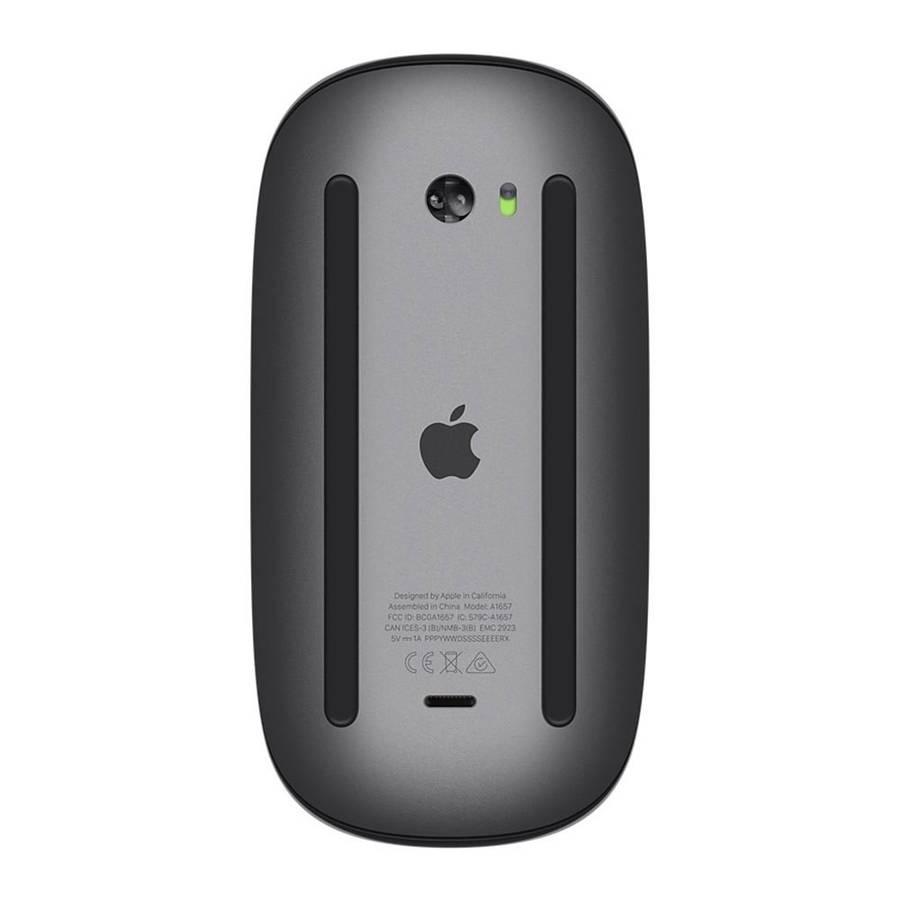 MAGIC MOUSE 2 - SPACE GREY