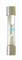 Glass Fuses 20 Amp Per 100