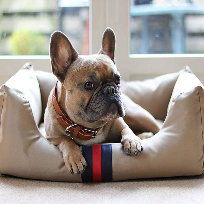 Rosewood Pet Bedding Designer Water Resistant Pet Bed Large
