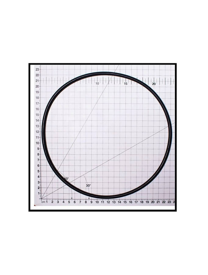 POOL PUMP SPECK PORPOISE O RING FOR BODY