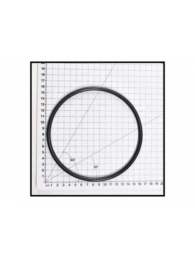 SPECK PUMP LID O-RING 90 SERIES