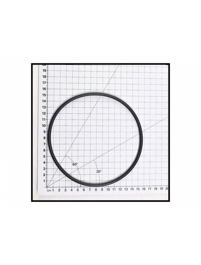 POOL FILTER LID O RING AQUAMAX (POPULAR)