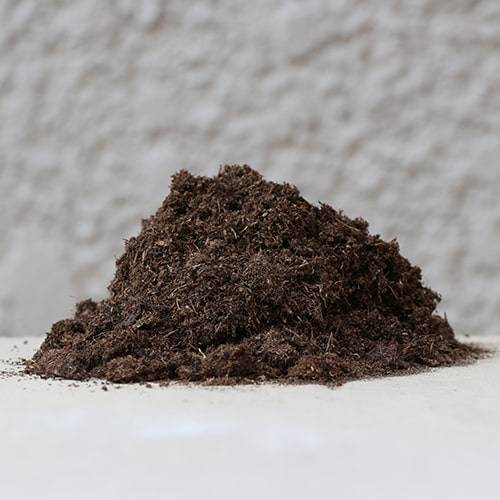 Sphagnum Peat Moss - 5 Litre