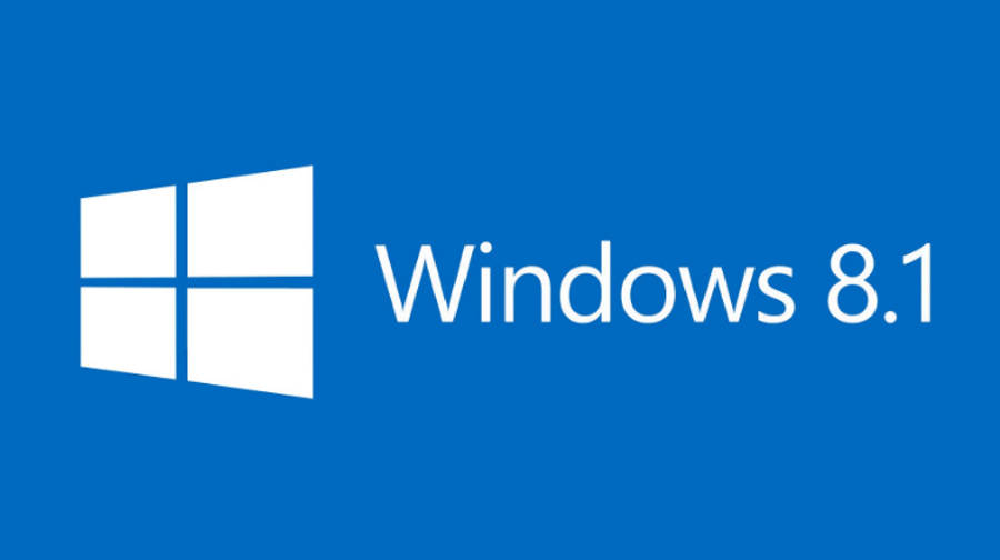 Image result for win8.1 logo