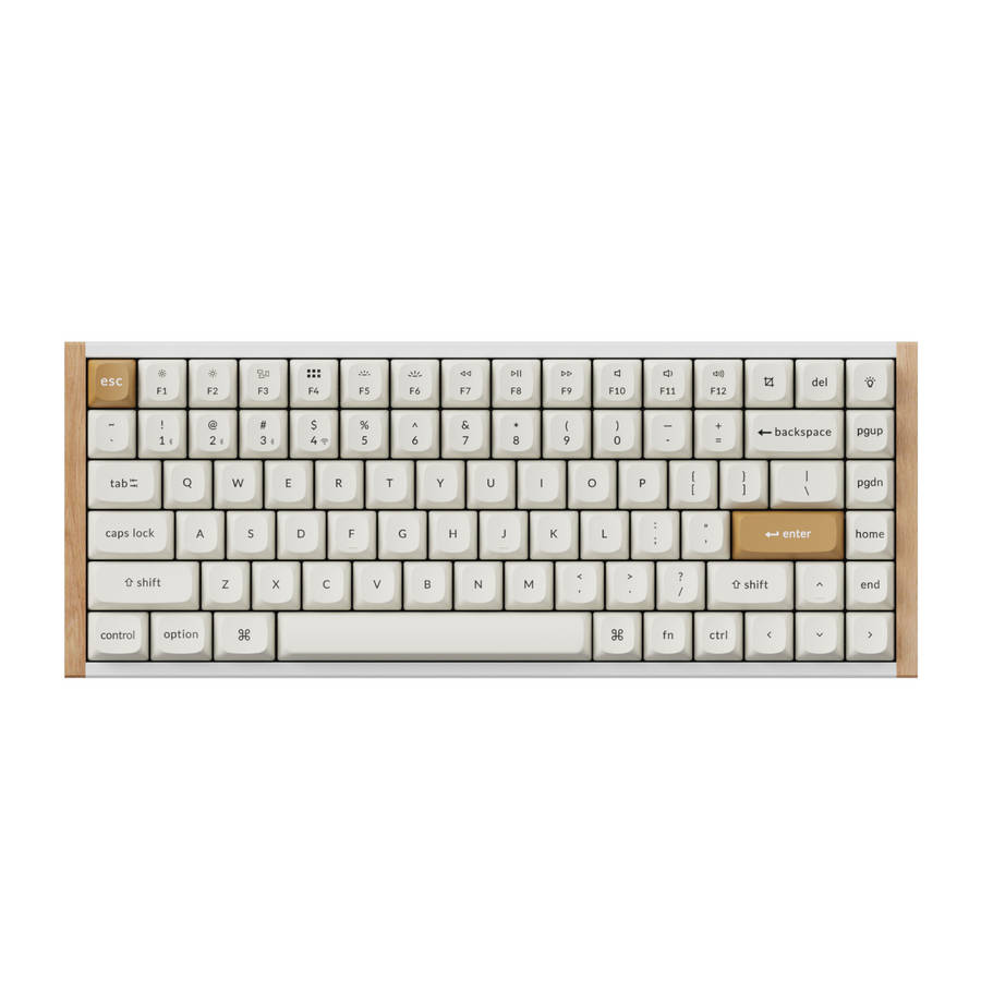 Keychron K2 HE Wireless Special Edition Magnetic Custom Keyboard | NEBULA Switch  White