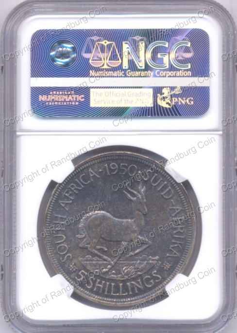 1950_SA_Crown_UNC_Det_Srf_Hrlns_revn.jpg