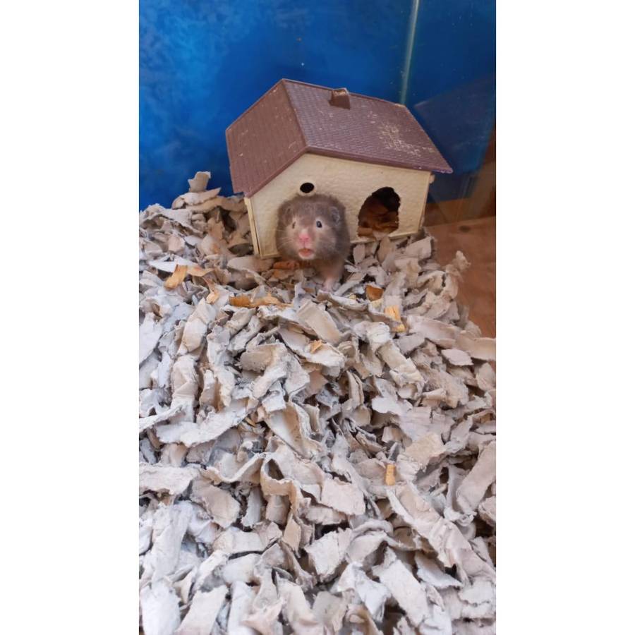 Eco Bedding 10 litre