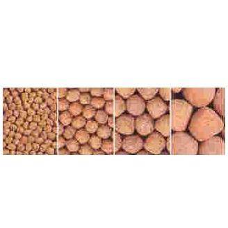 Hikari Sinking Cichlid Gold Medium 100g