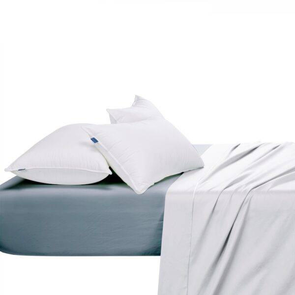 Egyptian Cotton 300 Thread Count Fitted Sheet - Duck Egg