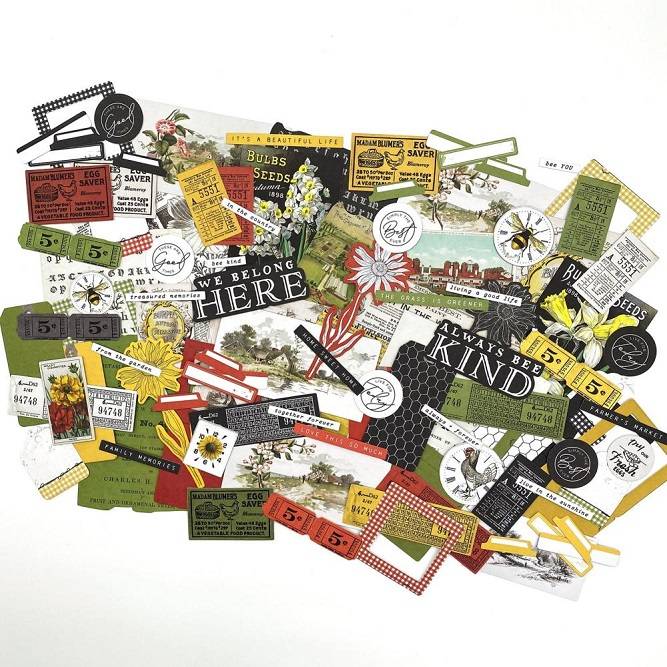 49 & Market - Countryside Ephemera