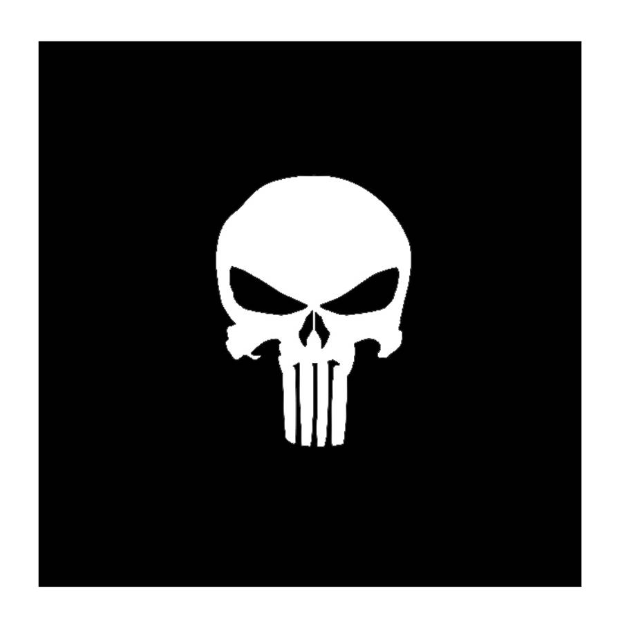 DZI Punisher Vinyl Transfer Sticker - 60mm - Various
