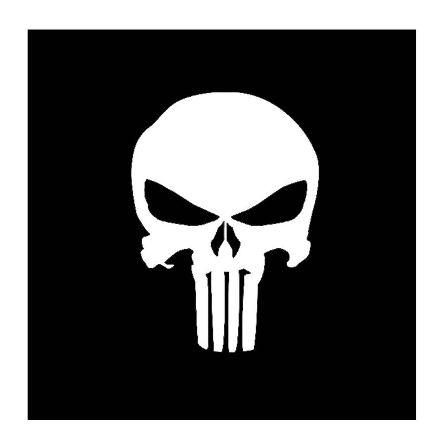 DZI Punisher Vinyl Transfer Sticker - 90mm - Various