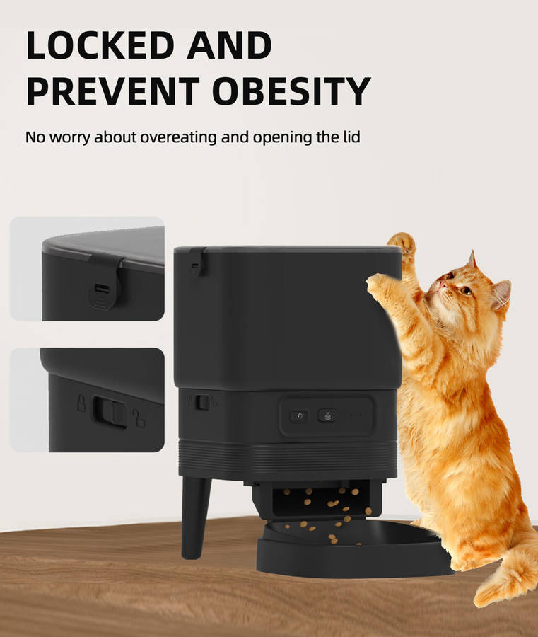 Elegant Connected Auto Feeder