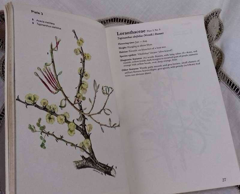 Flowering Plants of Eastern Botswana (Signed 1st Edition) and Some Protected flowers of the Cape ...