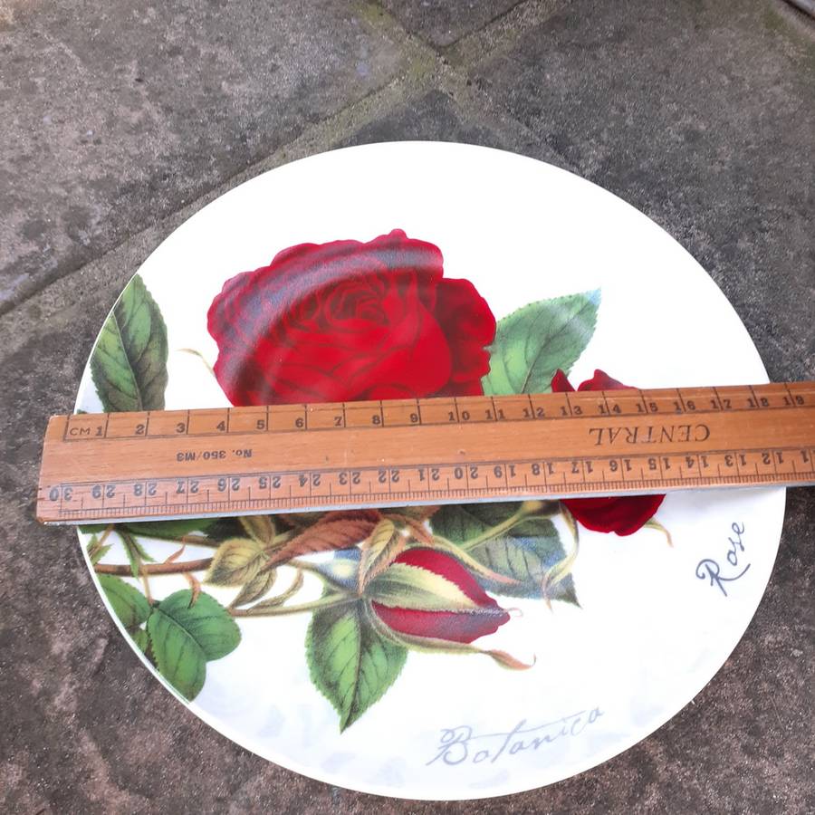 Pair of Maxwell and Williams rose plates 2012 - 18.5 cm dia