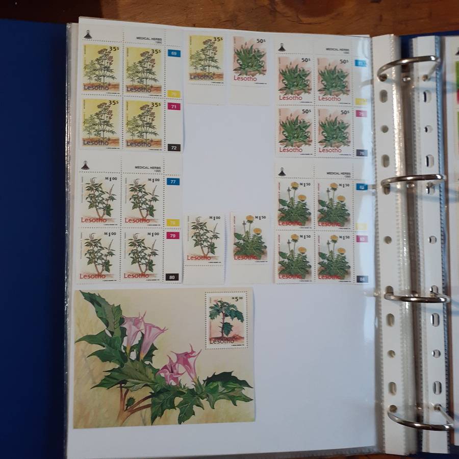 Lesotho Stamp album - 36 pages - fantastic definative collection clean stamped and unstamped