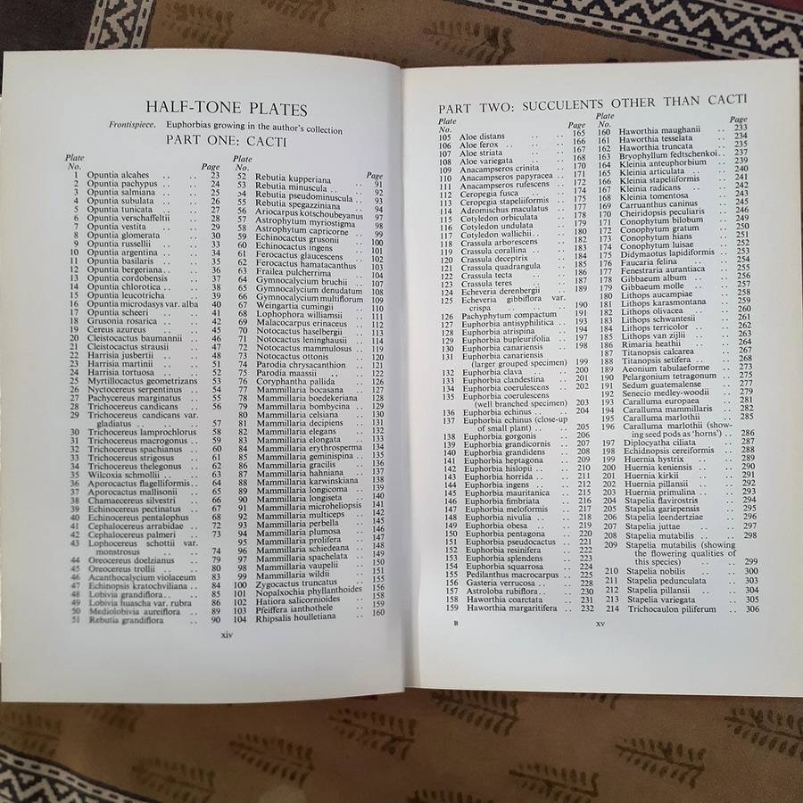 Cacti and other Succulents Edgar Lamb Vol 1 - 1963