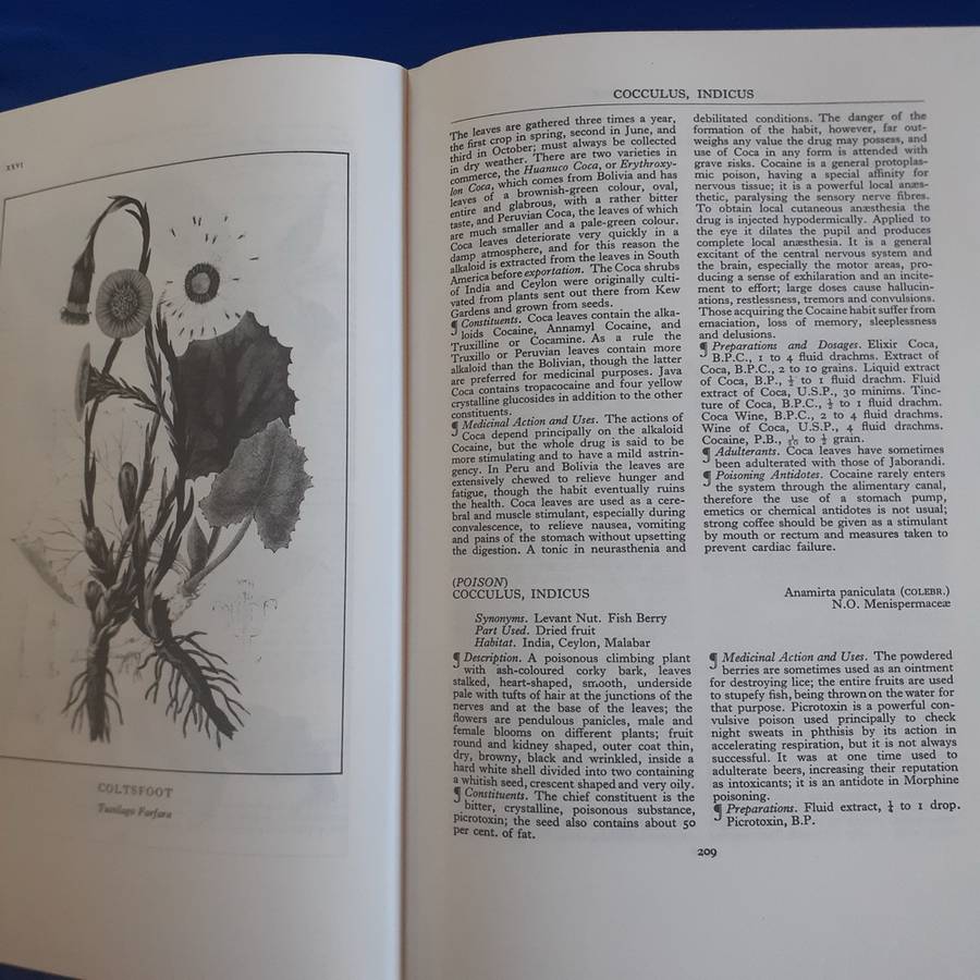 A Modern Herbal: The Medicinal, Culinary, Cosmetic, and Economic Properties etc