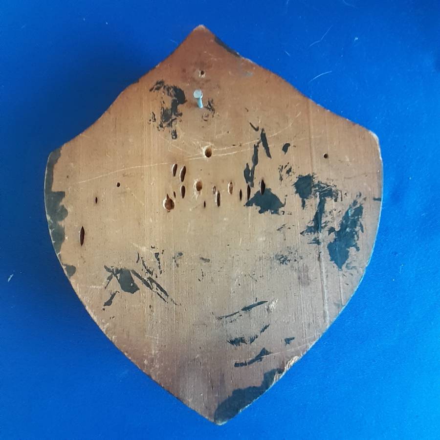 SANDF Army SA1 brass Badge on wooden plaque   18cms x 16cms