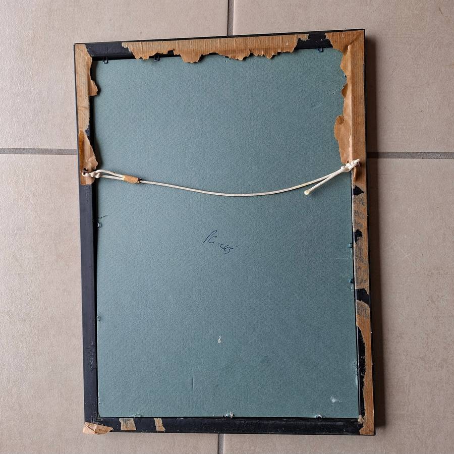 SAS Drakensburg SA Navy ship - Equator Neptune crossing Cert - framed 1990