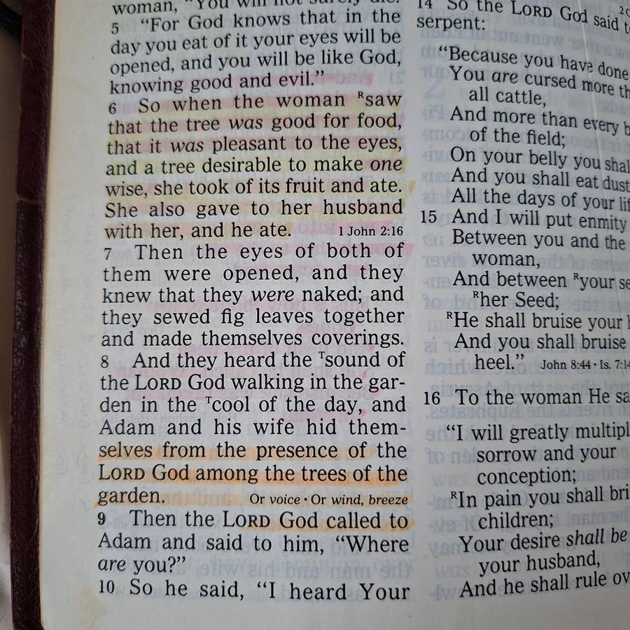 Holy Bible New King James Version - Large Print