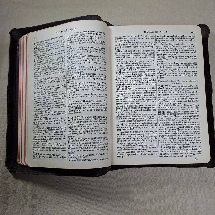 Die Bybel - Ou en Nuwe Testament - leather bound gilt edges
