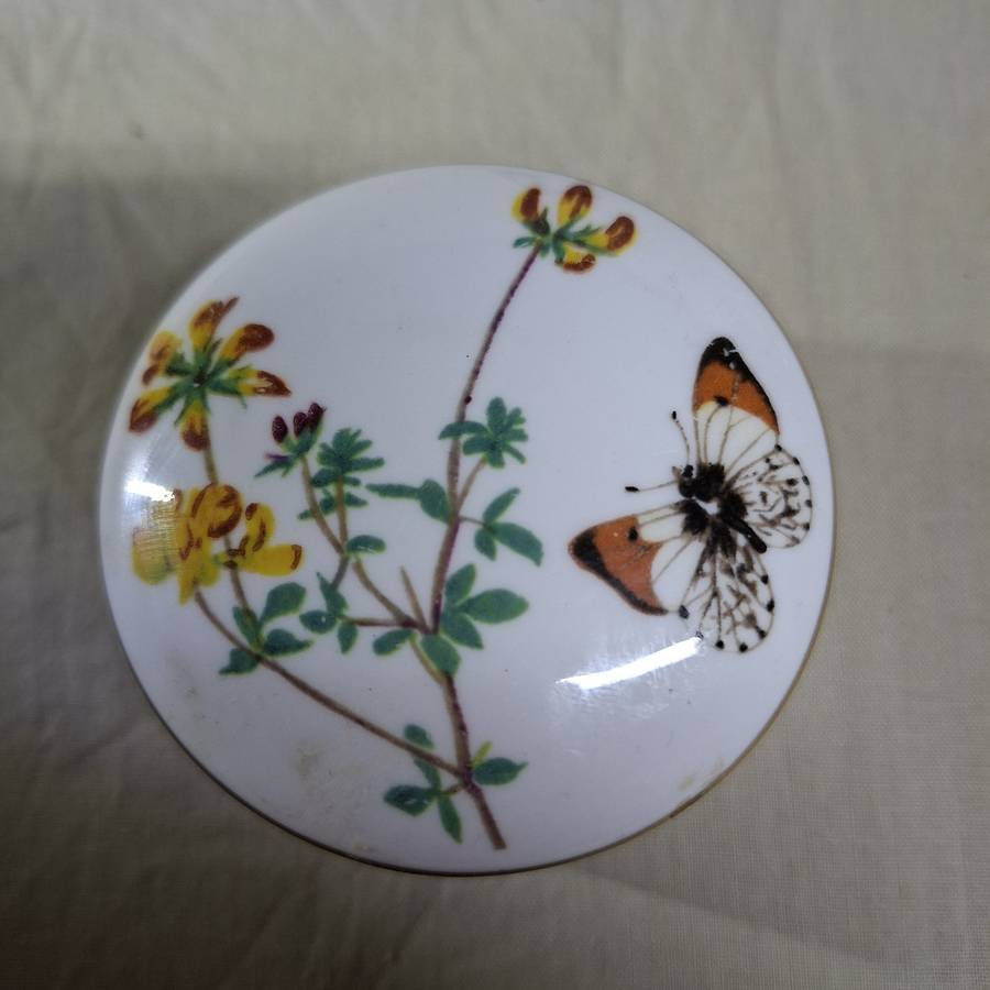 Pill box fine english porcelain - Spring - diary of a victorian lady  6.6 cms dia approx