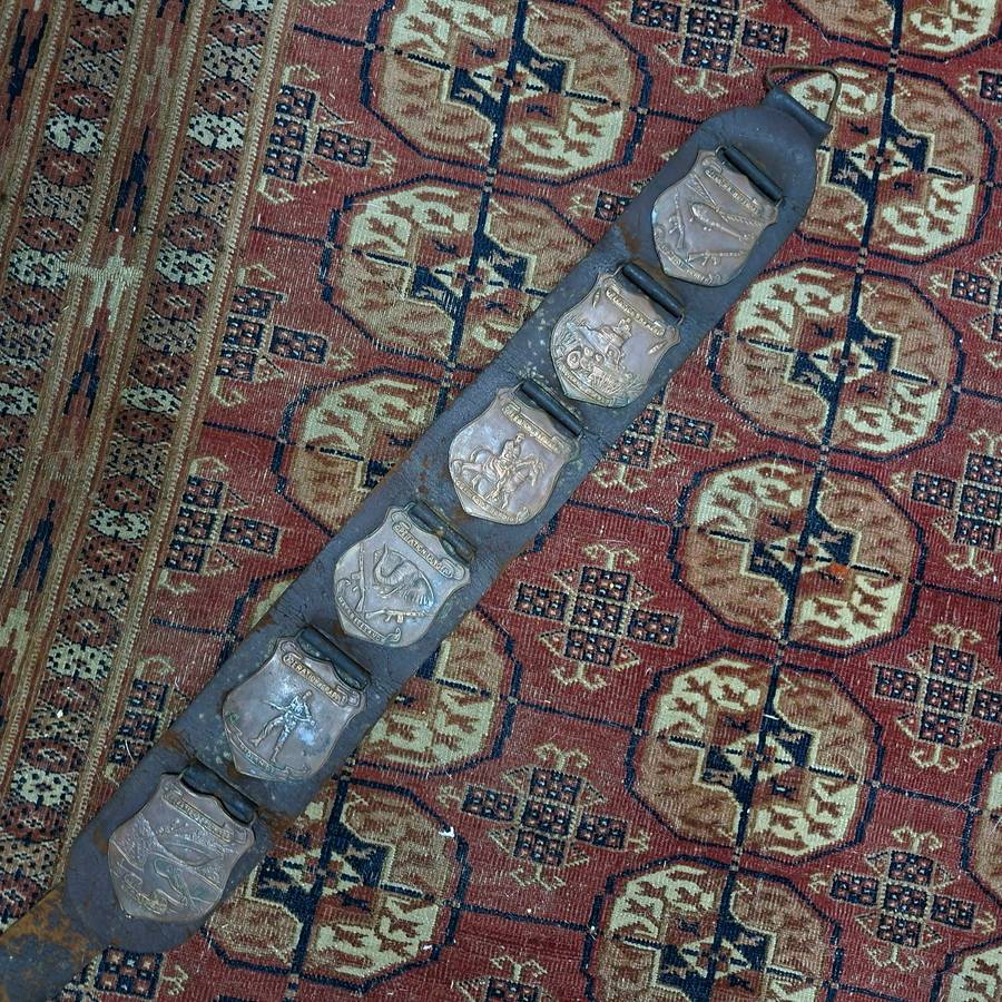 6 Rhodesian war operation plaques on leather strap