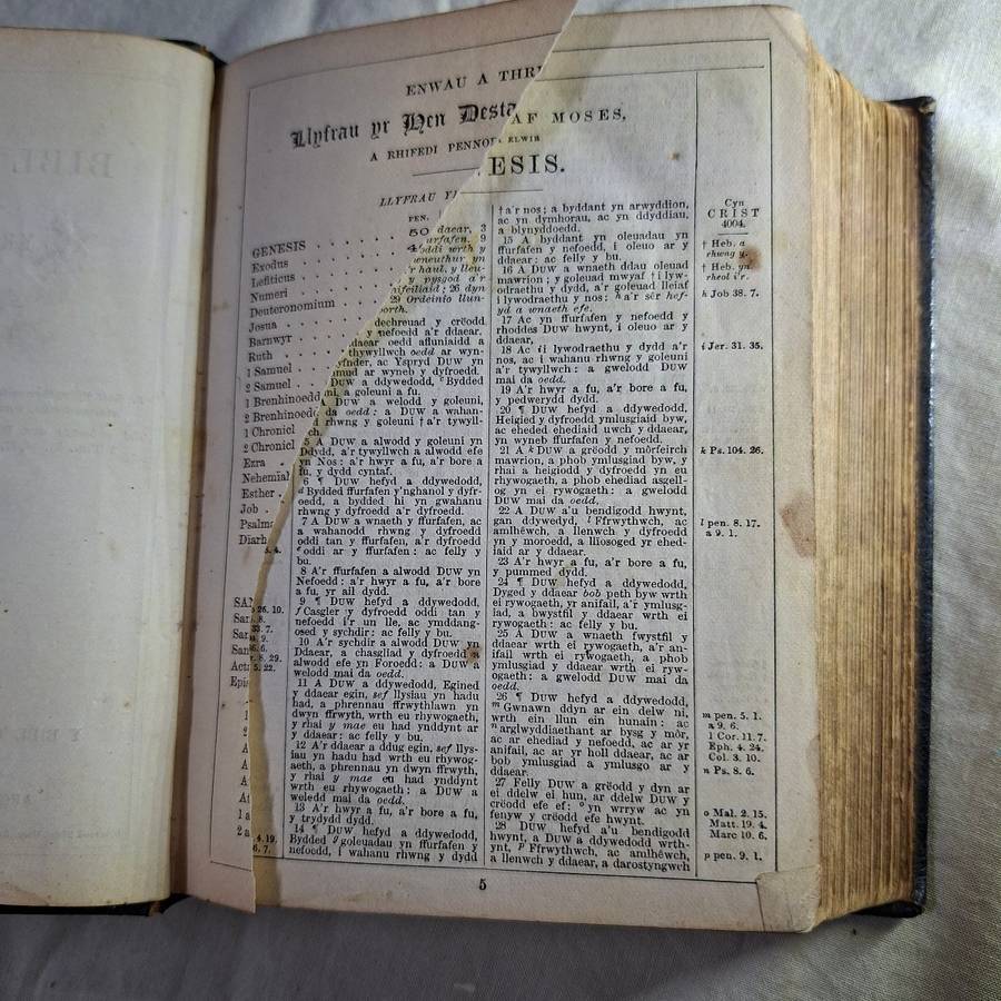 Antique Bible Gaelic Welsh - Y Bibl - leather bound
