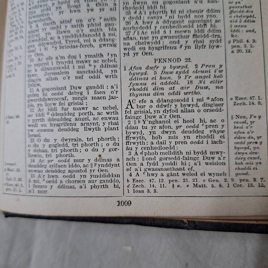 Antique Bible Gaelic Welsh - Y Bibl - leather bound