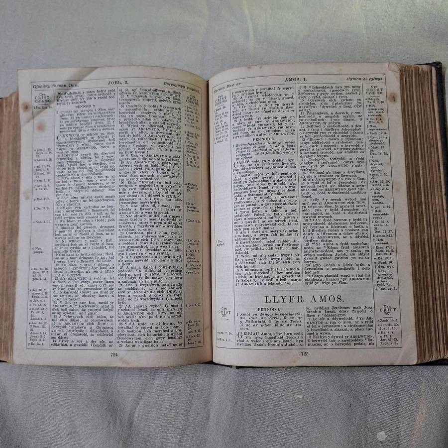 Antique Bible Gaelic Welsh - Y Bibl - leather bound