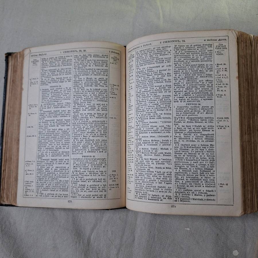 Antique Bible Gaelic Welsh - Y Bibl - leather bound