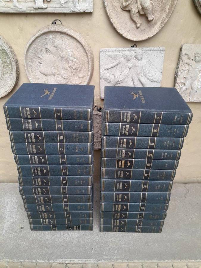 A 19th Century Set Of 25 Britannica Americana Encyclopaedia International Edition