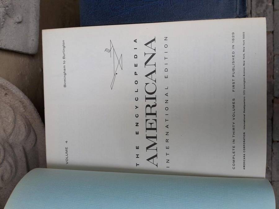 A 19th Century Set Of 25 Britannica Americana Encyclopaedia International Edition