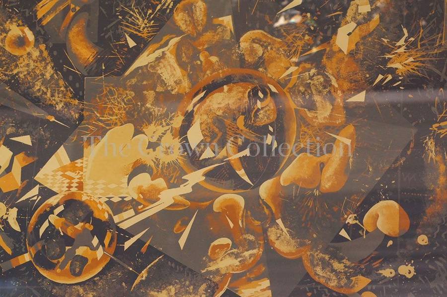 Hardy Botha Colour silkscreen abstract forms