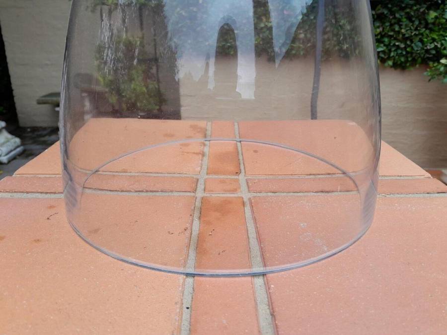 Glass Cloche Dome