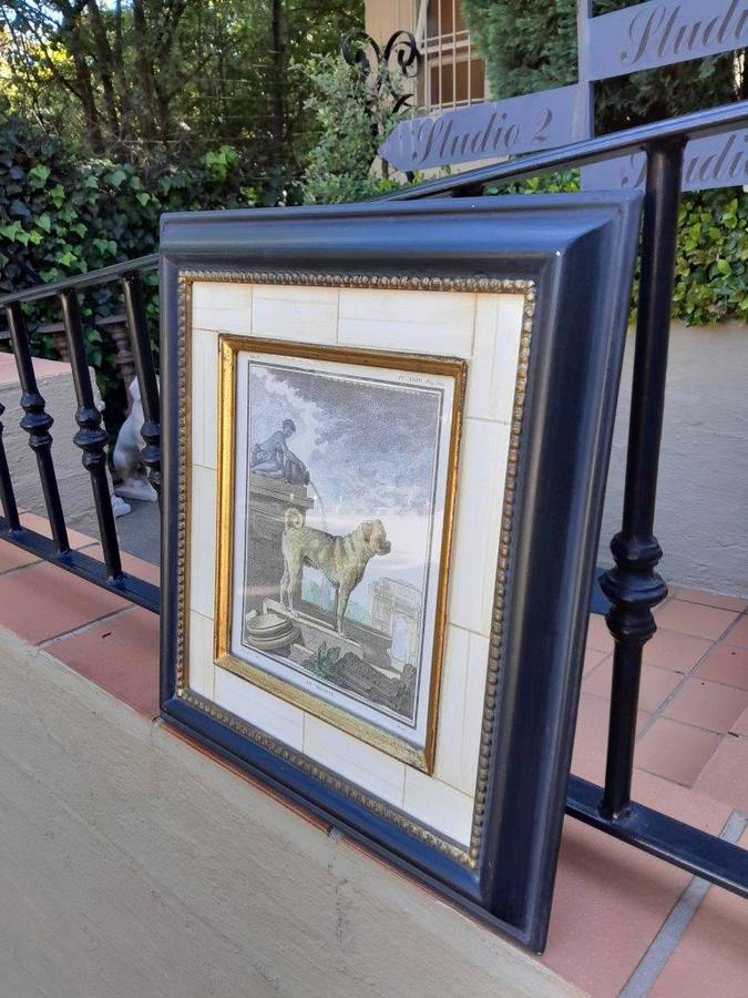 A Le Dogun PL XLIV Pug Etching Print On Paper In A Black Frame
