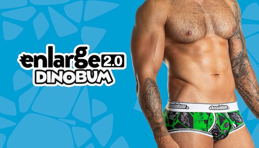 Enlarge 2.0 Brief Dino Green