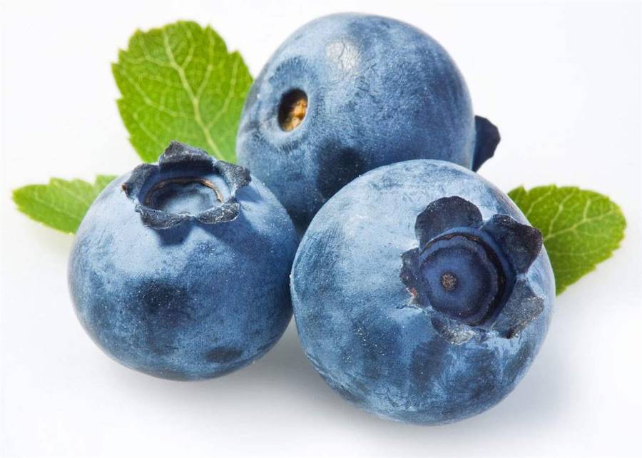 Blueberry | 10ml Concentrated Flavor for Eliquid | Self Mixing