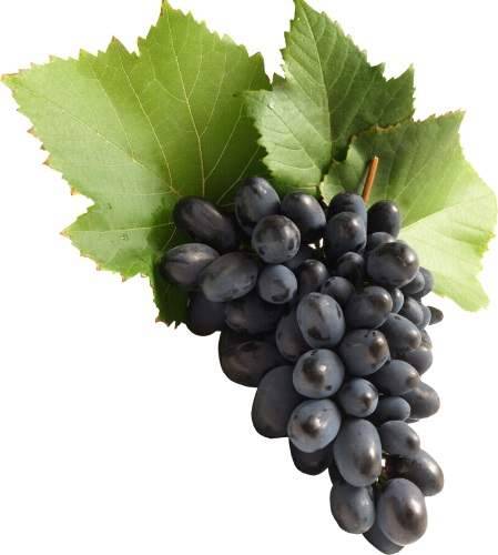 Grape | 10ml Concentrated Flavor for Eliquid | Self Mixing