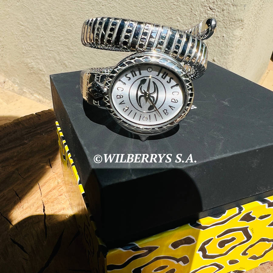 omg!!*** R7,900.00 ROBERO CAVALLI Women`s JUST CAVALLI Dante Viper Twist Silver Watch GENUINE